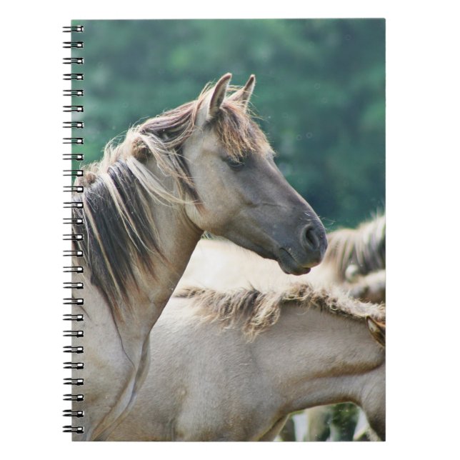 Caderno Espiral Efetivo de Cavalos de Brumby da Austrália (Frente)