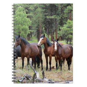 Caderno Espiral Efetivos de cavalos selvagens
