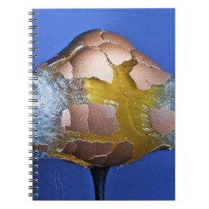 Caderno Espiral Eggceptional