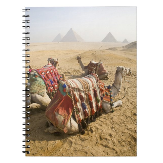 Caderno Espiral Egito, Cairo. Camelos descansando (Frente)