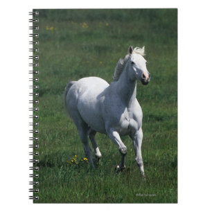 Caderno Espiral Égua do puro-sangue