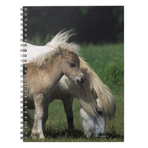 Caderno Espiral Égua & potros diminutos 3