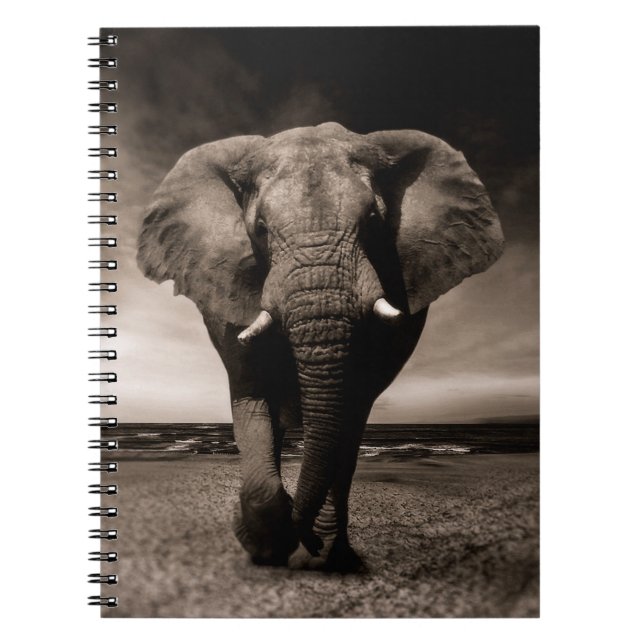 Caderno Espiral Elefante (Frente)