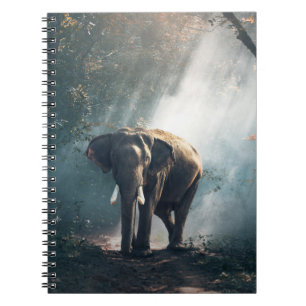 Caderno Espiral Elefante Asiático em Limpeza de Floresta Sunita
