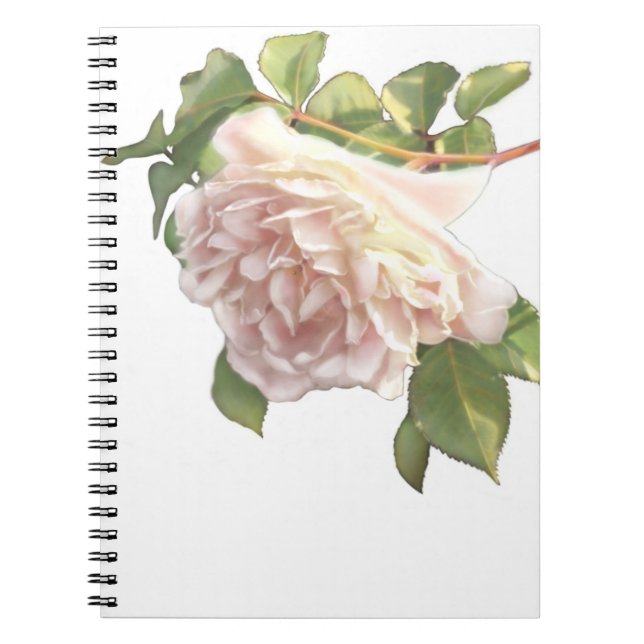 Caderno Espiral Elegante, poeirento, cor de laranja branca, rosa f (Frente)