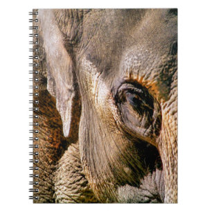 CADERNO ESPIRAL ELEPHANT