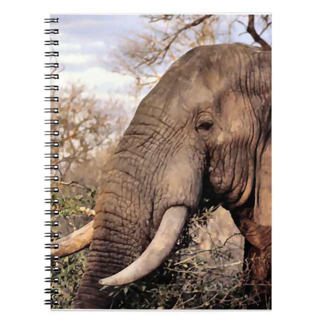 Caderno Espiral Elephant Lovers Wildlife (Frente)