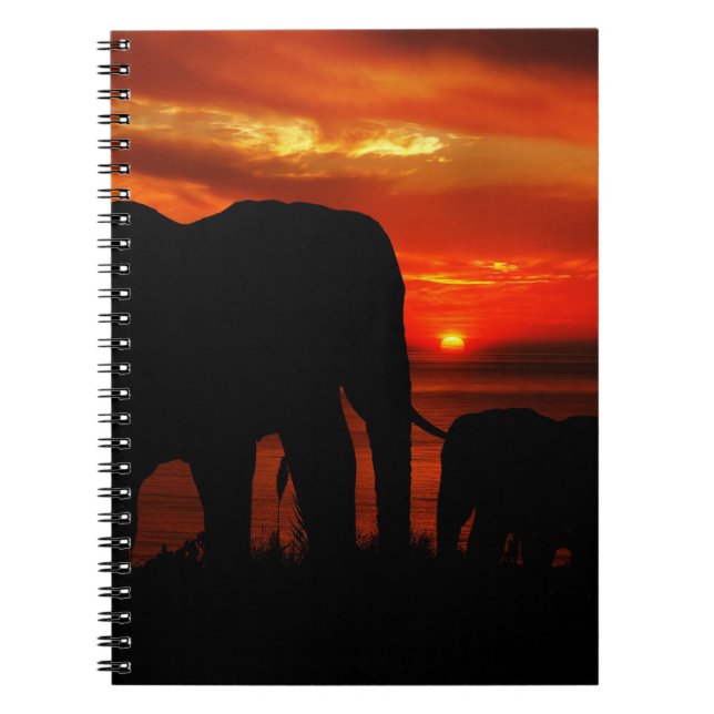 Caderno Espiral Elephants at Sunset (Frente)