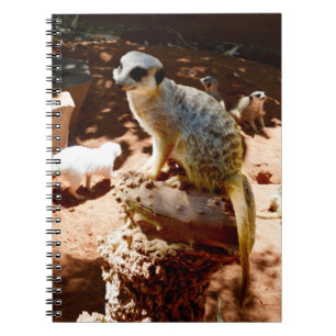 Caderno Espiral Eliza Rainha Dos Meerkats, Notebook