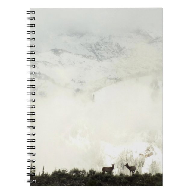 Caderno Espiral Elk no Grand Teton National Park Fotografia (Frente)