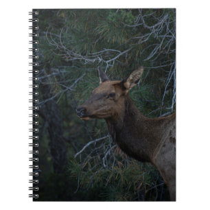 Caderno Espiral Elk Selvagem na Floresta dos Pinheiros - Fotografi