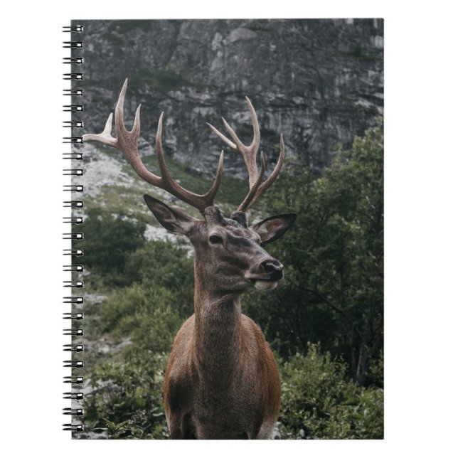 CADERNO ESPIRAL ELK STACK DEER (Frente)