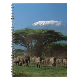 Caderno Espiral Elphants of Mt.Kilimanjaro