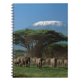 Caderno Espiral Elphants of Mt.Kilimanjaro