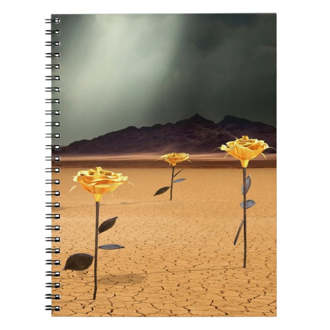 Caderno Espiral Em algum lugar nº 3 (Frente)