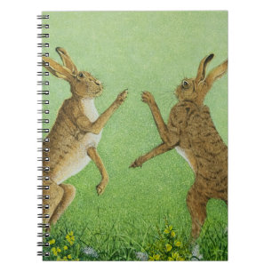 Caderno Espiral Encaixotamento inteligente