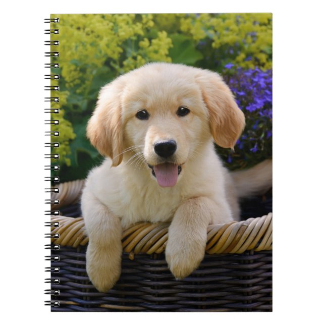 Caderno Espiral Encantador Goldie Retriever Cuppy, Fotocover (Frente)