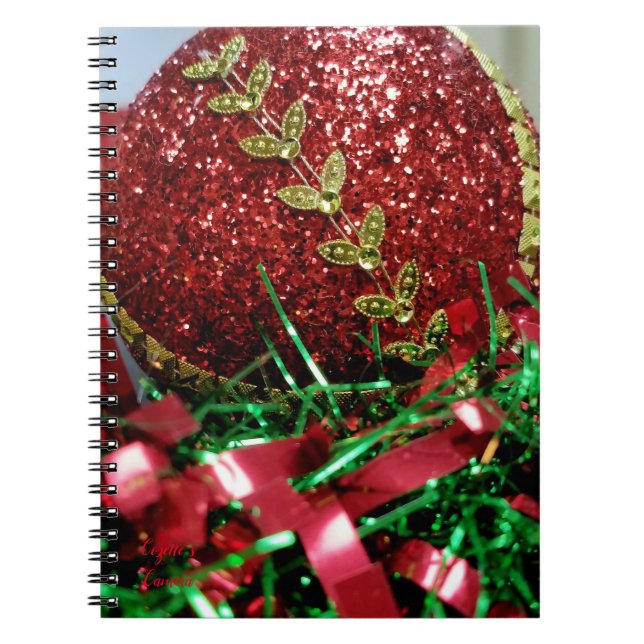 Caderno Espiral Enfeite Brilhante (Frente)