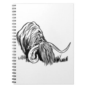 Caderno Espiral Engraçada Vaca das Terras Altas Escocesas