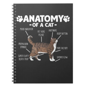 Caderno Espiral Engraçado Anatomia de um Gatinho de gato, dono de