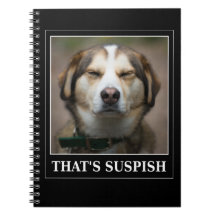 Engraçado Cachorro Meme