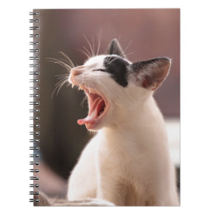 Caderno Espiral Engraçado Cat Yawning