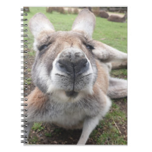 Caderno Espiral Engraçado Engraçado Cara Kangaroo Foto Educacion