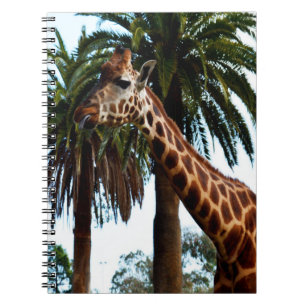 Caderno Espiral Engraçado Giraffe Raspberry,
