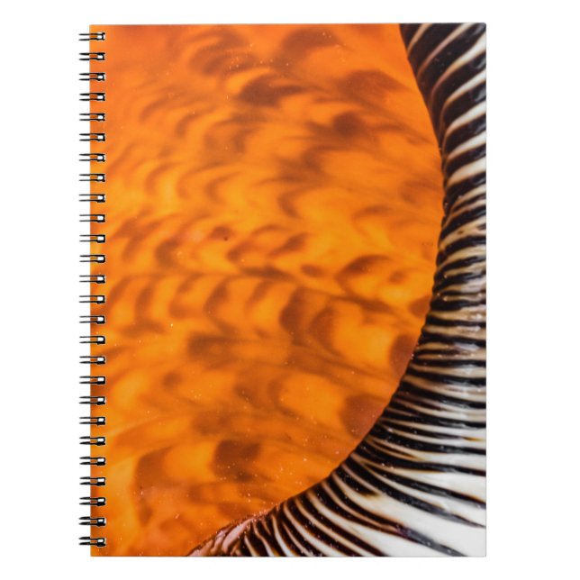 Caderno Espiral Enxertia em rede (Frente)