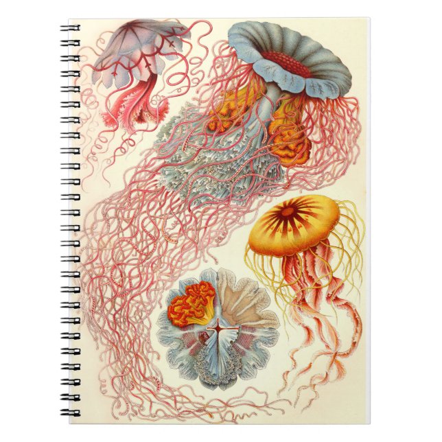 Caderno Espiral Ernst Haeckel "Discomedusae - Desmonema" (Frente)
