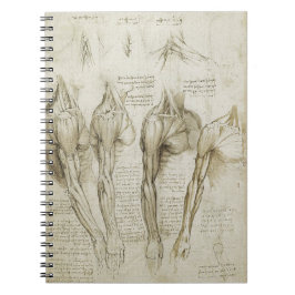 Caderno Espiral Esboços de esqueleto humanos da anatomia de da