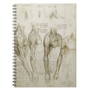 Caderno Espiral Esboços de esqueleto humanos da anatomia de da