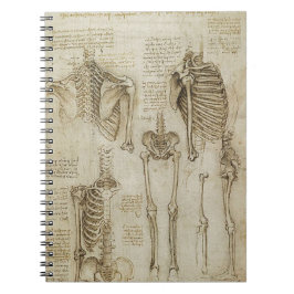 Caderno Espiral Esboços de esqueleto humanos da anatomia de da