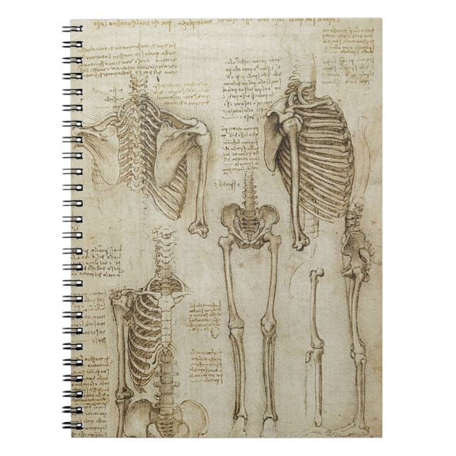 Caderno Espiral Esboços de esqueleto humanos da anatomia de da (Frente)