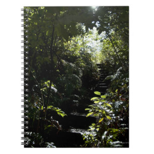 Caderno Espiral Escadaria/passeio rústicos na floresta, luz solar