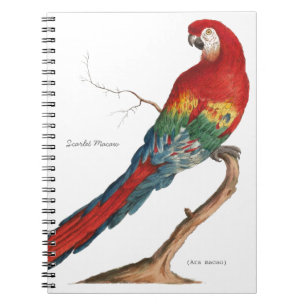 Caderno Espiral Escarlate do Macaw, Ara macao