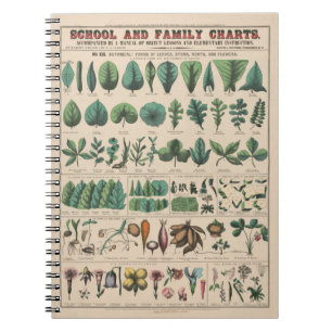 Caderno Espiral Escola Botânica Antiga Gráfico Natureza Vintage