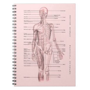 Caderno Espiral Escola personalizada da anatomia diagrama médico