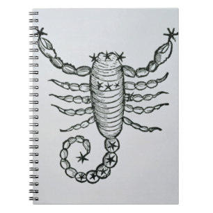 Caderno Espiral Escorpião (o escorpião) uma ilustração 'do P