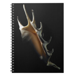 Caderno Espiral Escudo do Conch