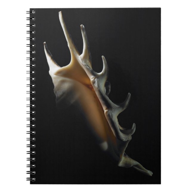 Caderno Espiral Escudo do Conch (Frente)