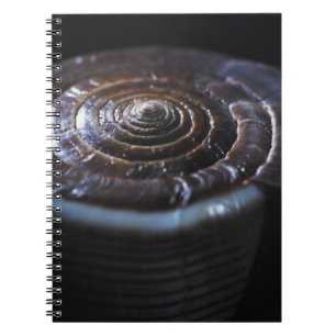 Caderno Espiral Escudo do cone
