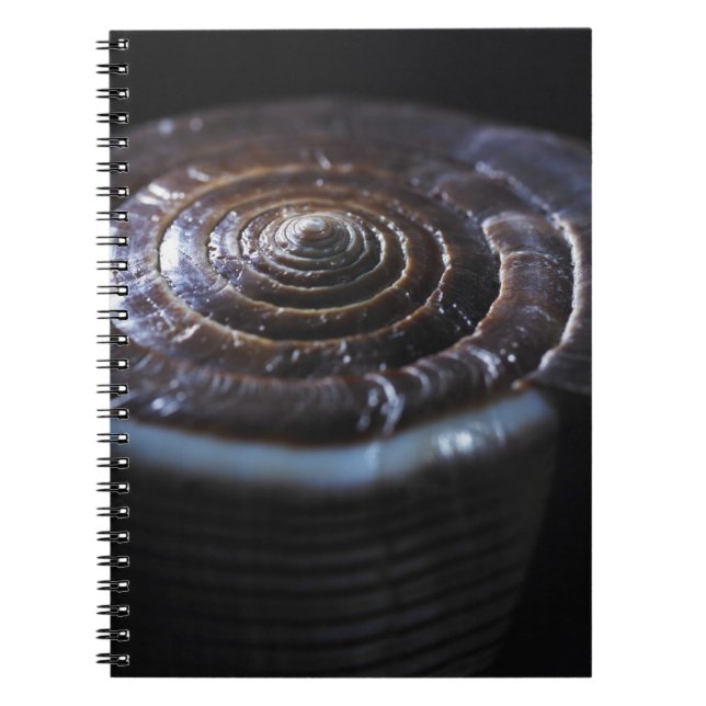 Caderno Espiral Escudo do cone (Frente)