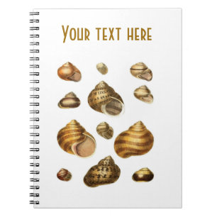 Caderno Espiral Escudos do mar e tema marítimo, escudo marrom do