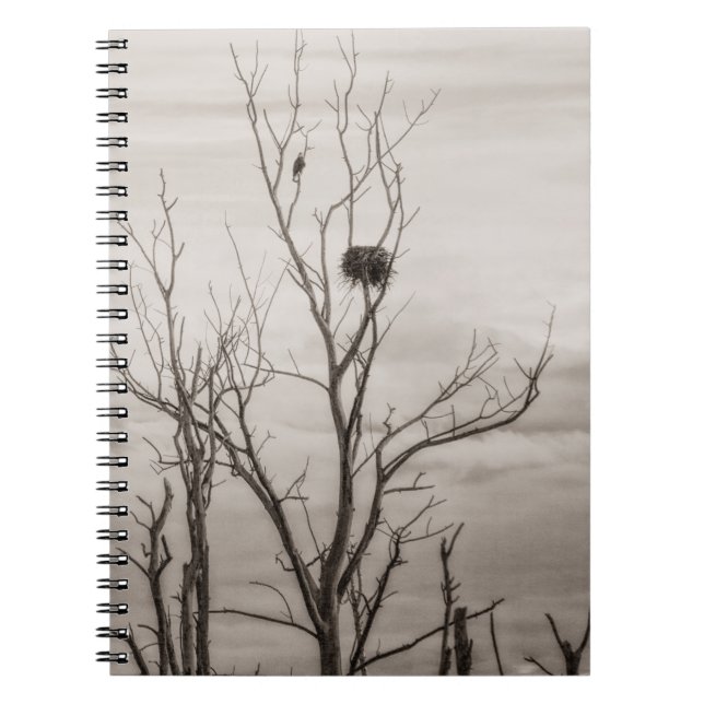 Caderno Espiral Esperando a vida (Frente)