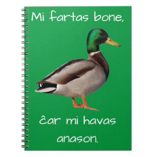 Caderno Espiral Esperanto: Osso dos fartas do MI, MI ĉar Havas