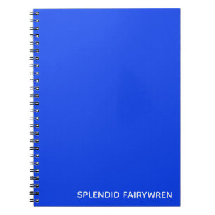 Caderno Espiral Esplêndido Nome de Cor Azul Fairywren