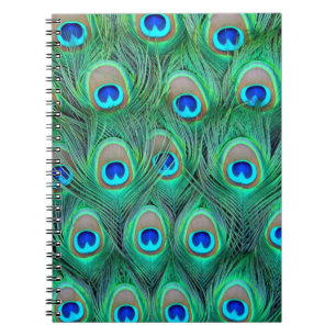 Caderno Espiral Esplendor Peacock