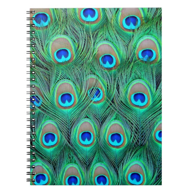 Caderno Espiral Esplendor Peacock (Frente)