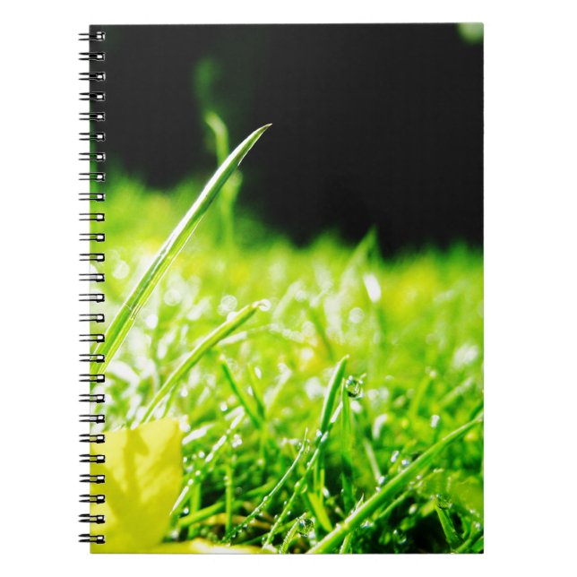 Caderno Espiral espreitadela (Frente)